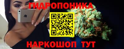 индика Бузулук