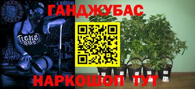гидропоника Будённовск