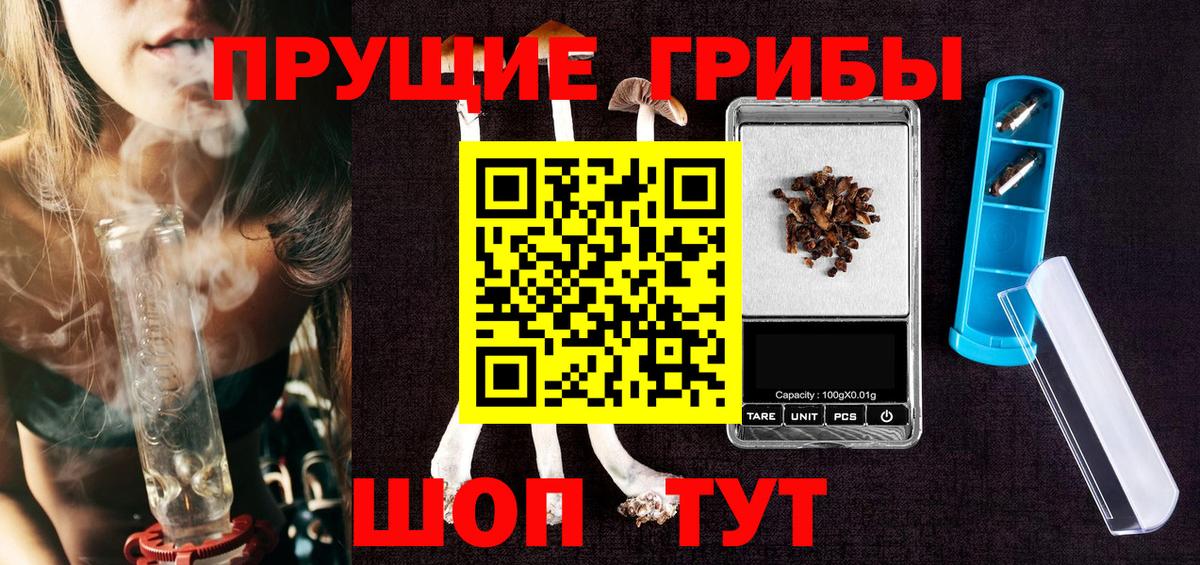 Галлюциногенные грибы прущие грибы  Вход с VPN  Коммунар  наркота  Псилоцибиновые грибы GOLDEN TEACHER 