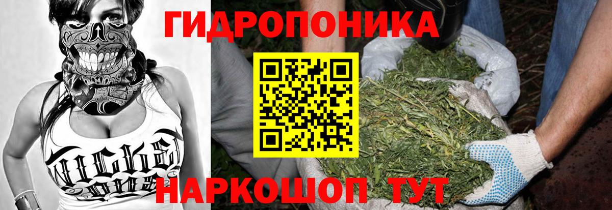 Коммунар  Каннабис SATIVA & INDICA  Вход с VPN  Бошки Шишки Ganja  МАРИХУАНА конопля 